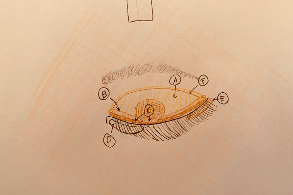 【Explained with Drawings】Eye Makeup Can Create Any Shape of Eyes ...